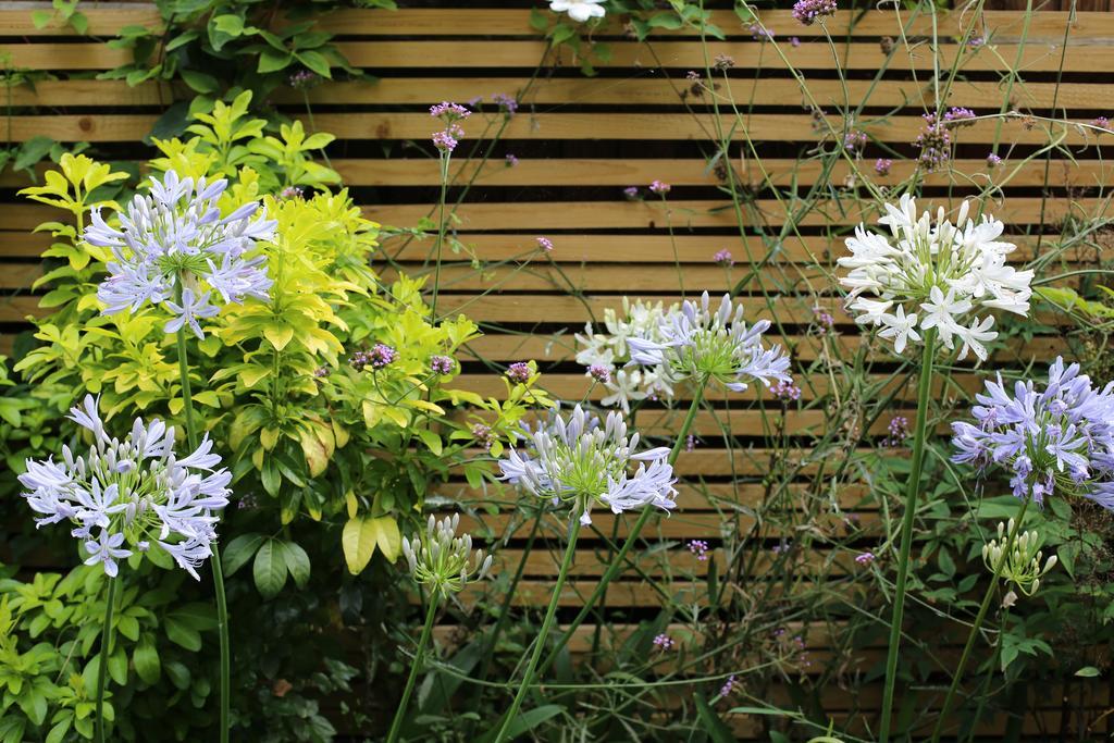 Shoreditch 1 With Garden Londres Habitación foto